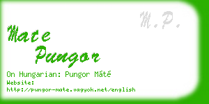 mate pungor business card